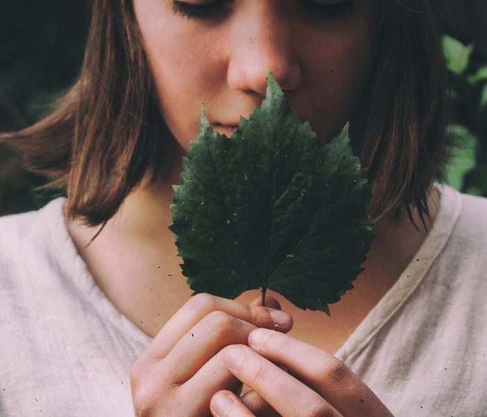 Seductive Smell of Rose Leaf